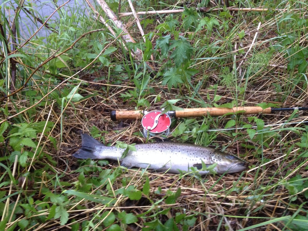 Photo Rickard Fenberg