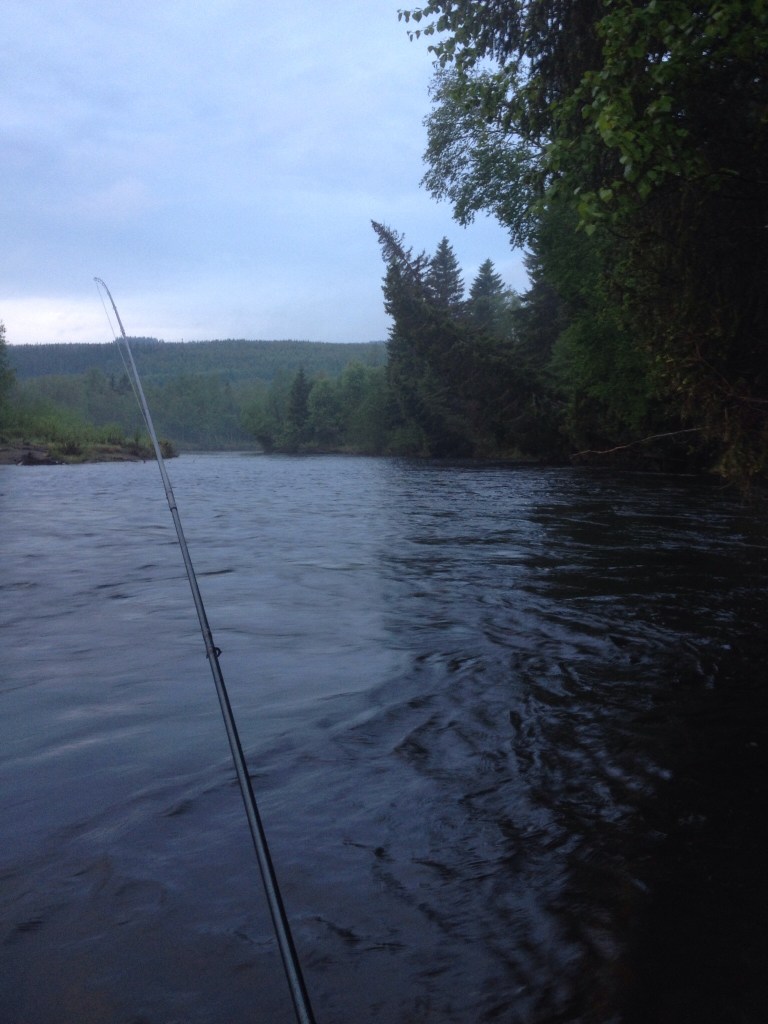 Photo Rickard Fenberg