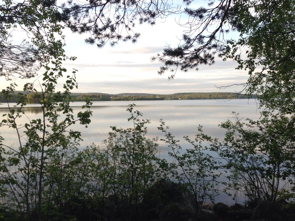 Foto Leo Oras Inom en nära framtid kommer ål och havsöring att få möjlighet att simma ändå upp till sjön Öjen, som tillhör Ljungans vattensystem 