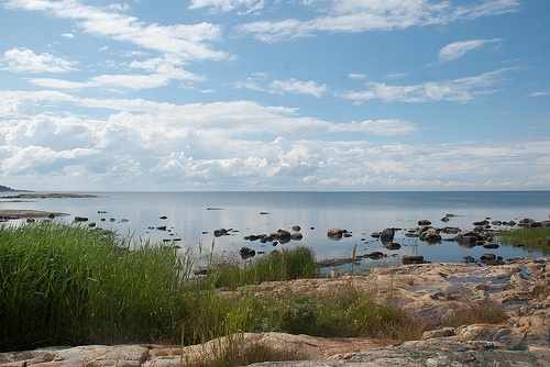 Credit: This photo also appears in minRK's photostream  Just follow this link to see and comment on this photo: https://www.flickr.com/x/t/0091009/photos/minrk/8110329895/ 