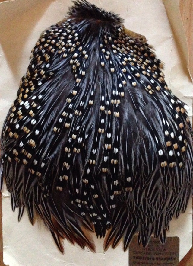 Djungeltupp. Väl utplockad!