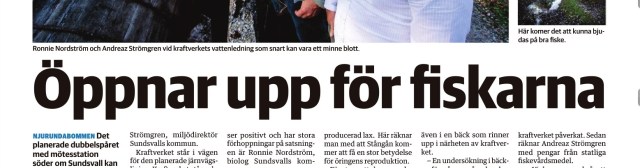 Sundsvalls Tidnings pappersupplaga om Stångån den 13/9 2014