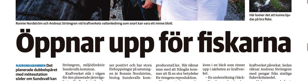 Sundsvalls Tidnings pappersupplaga om Stångån den 13/9 2014