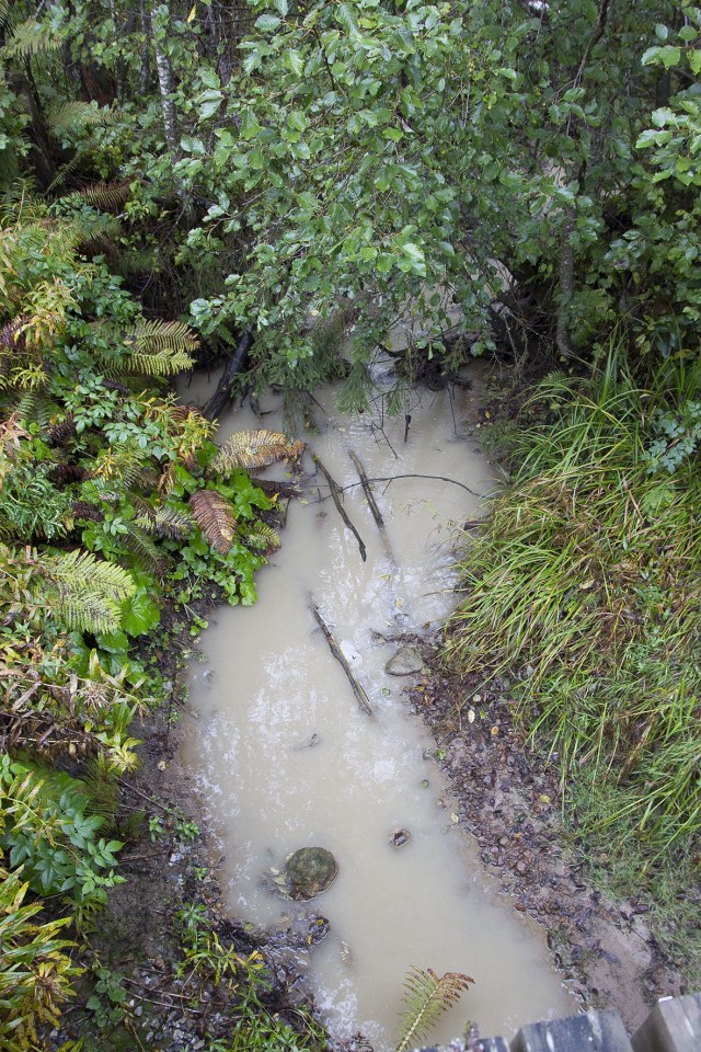 Foto från den förorenade delen av Västbobäcken. September 2014
