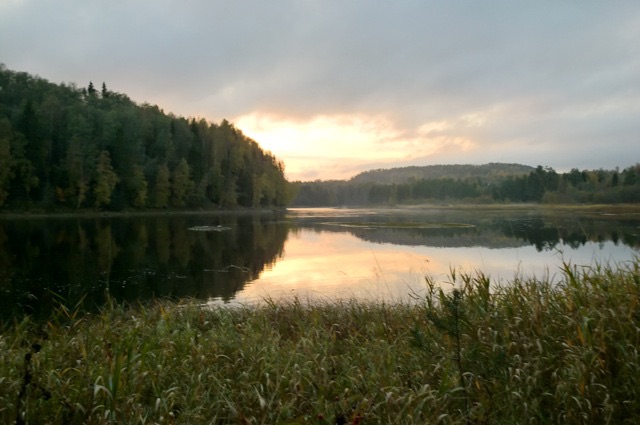 Foto Rickard Fenberg