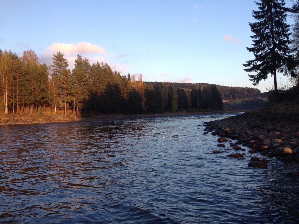 Grenforsen. Ljungan. Foto Leo Oras