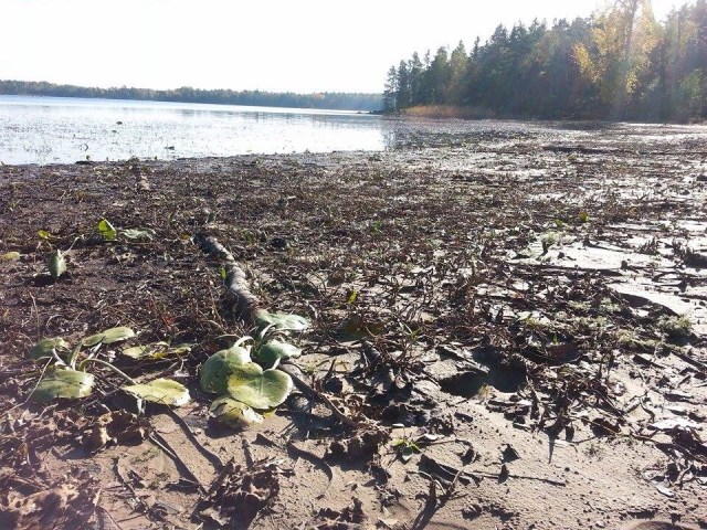Sjön Yxern i Kalmar län. Oktober 2014. Foto Tino Åberg