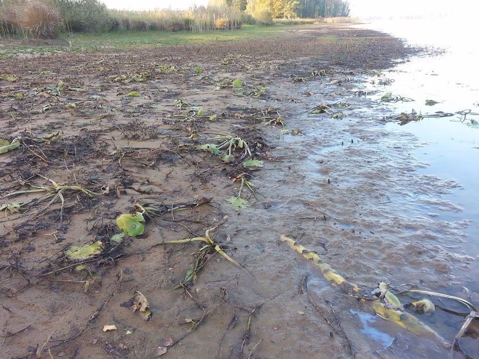 Foto Tino Åberg Sjön Yxern i Kalmar län Svårt skadad av småskalig vattenkraft