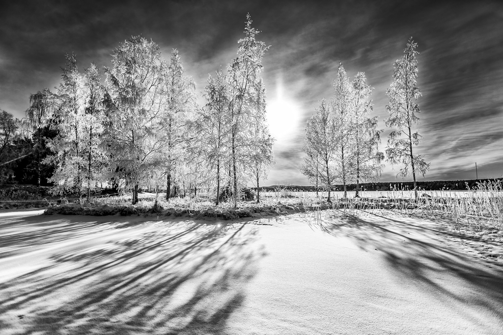 Photo Svanthe Hatström