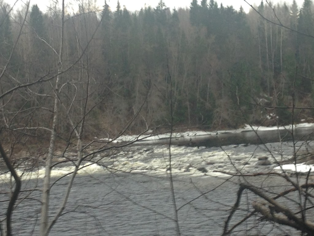 Fil 2016-04-03 12 51 31