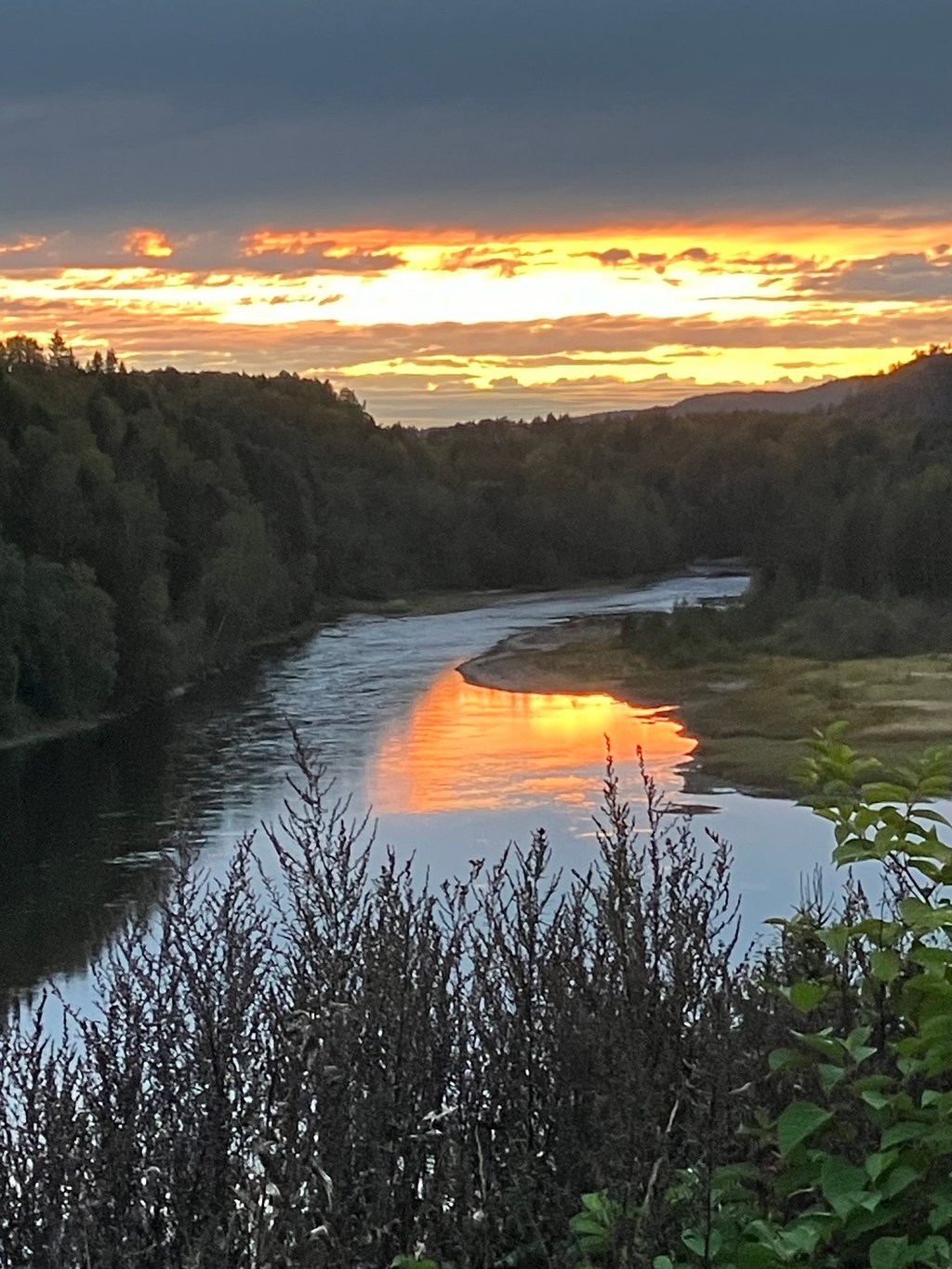 Riv Viforsens och Matfors kraftverk — låt Ljungan bli en levande älv&nbsp;igen