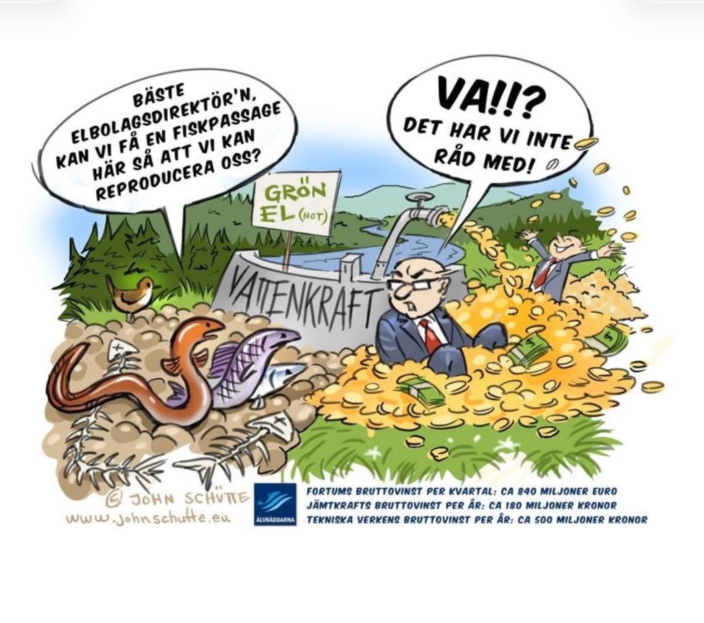En karikatyr om vattenkraften – lika träffande idag som för tio år&nbsp;sedan