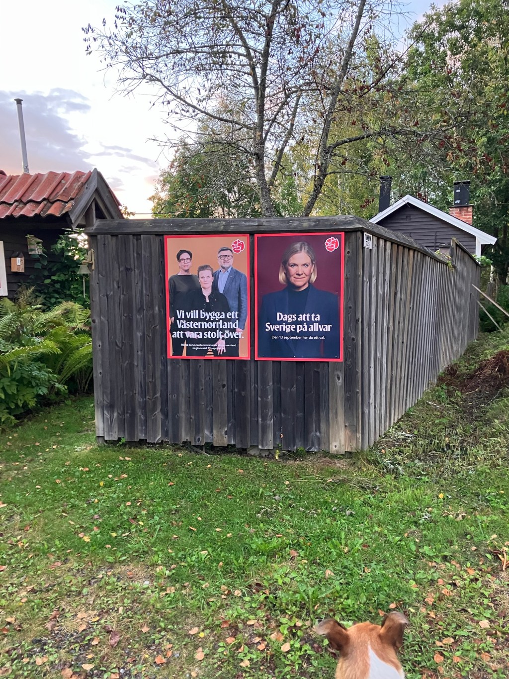 Valaffischer vid Ljungan