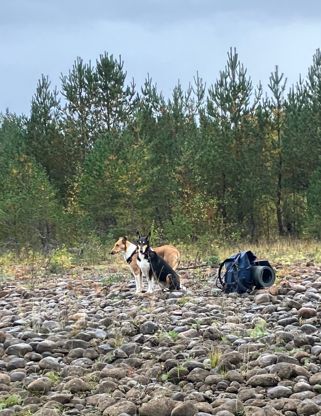 Promenad till Stocken